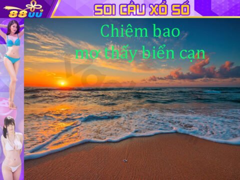 Giải Mã Giấc Mơ Lô Đề: Mơ Thấy Biển Cạn Đánh Số Gì