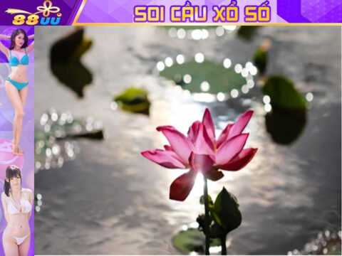 nhà cái 88online 88uu uu88 tặng 88888K miễn phí