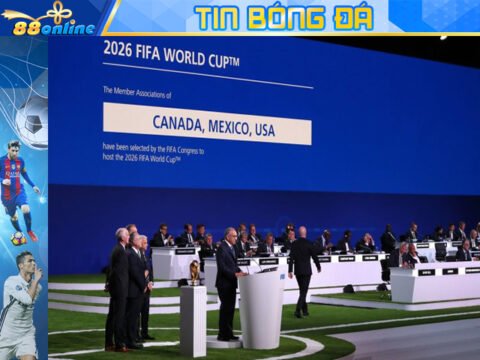 Tất cả các địa điểm bị FIFA bị loại đều được liệt kê