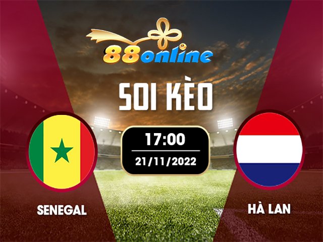 Vẫn còn bốn  tháng nữa cho đến khi trận đấu đầu tiên của World Cup 2022 giữa Hà Lan và Senegal bắt đầu vào thứ Hai ngày 21 tháng 11 tại Doha