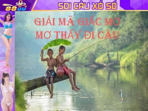 Giải Mã Giấc Mơ Lô Đề: Mơ Thấy Đi Câu Đánh Số Gì?