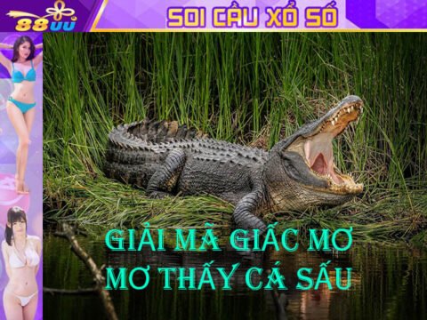 Giải Mã Giấc Mơ Lô Đề: Mơ Thấy Cá Sấu Đánh Số Gì?