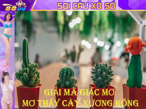 Giải Mã Giấc Mơ Lô Đề: Mơ Thấy Cây Xương Rồng Đánh Số Gì?