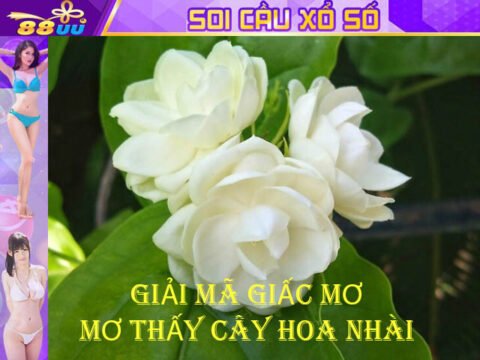 nhà cái 88online 88uu uu88 tặng 88888K miễn phí