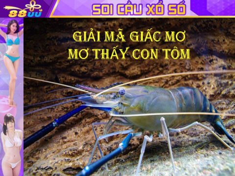 Giải Mã Giấc Mơ Lô Đề: Mơ Thấy Con Tôm Đánh Số Gì?