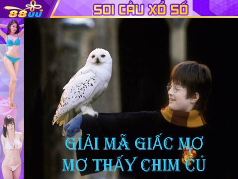 Giải Mã Giấc Mơ Lô Đề: Mơ Thấy Chim Cú Đánh Số Gì?