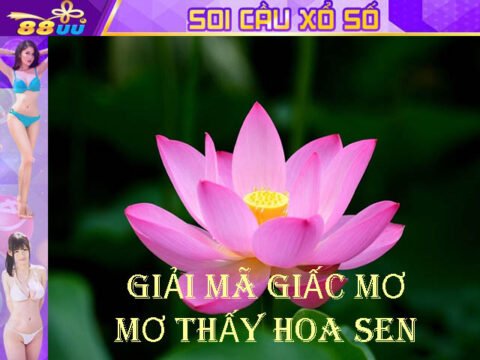 Giải Mã Giấc Mơ Lô Đề: Mơ Thấy Hoa Sen Đánh Số Gì?