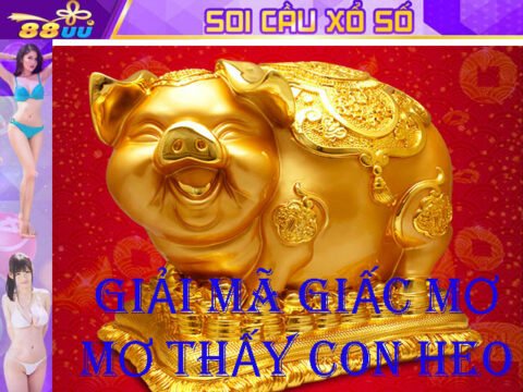 Giải Mã Giấc Mơ Lô Đề: Mơ Thấy Con Heo Đánh Số Gì?