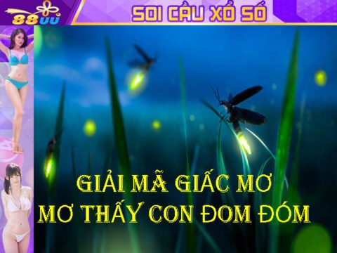 Giải Mã Giấc Mơ Lô Đề: Mơ Thấy Con Đom Đóm Đánh Số Gì?