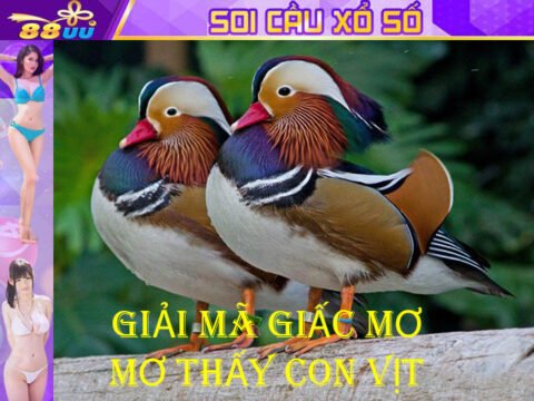 Giải Mã Giấc Mơ Lô Đề: Mơ Thấy Con Vịt Đánh Số Gì?